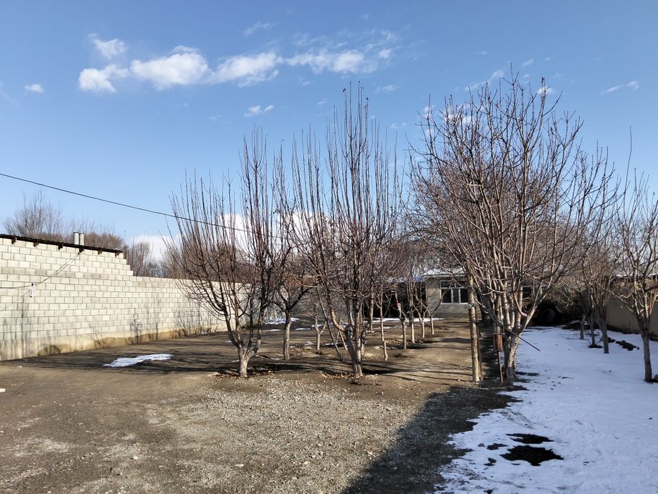 Дом м.ниязова 135