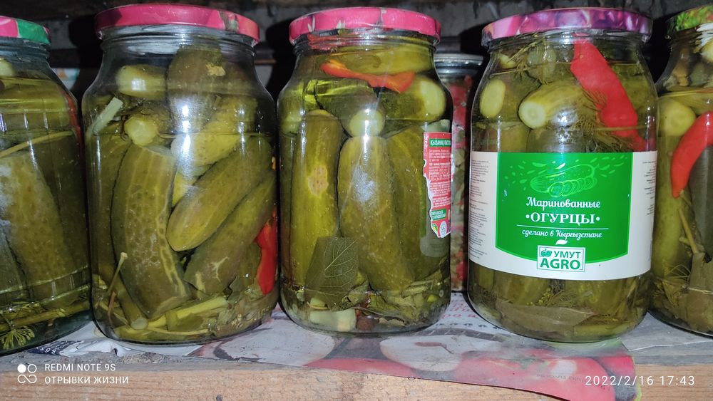 Всё самое вкусное