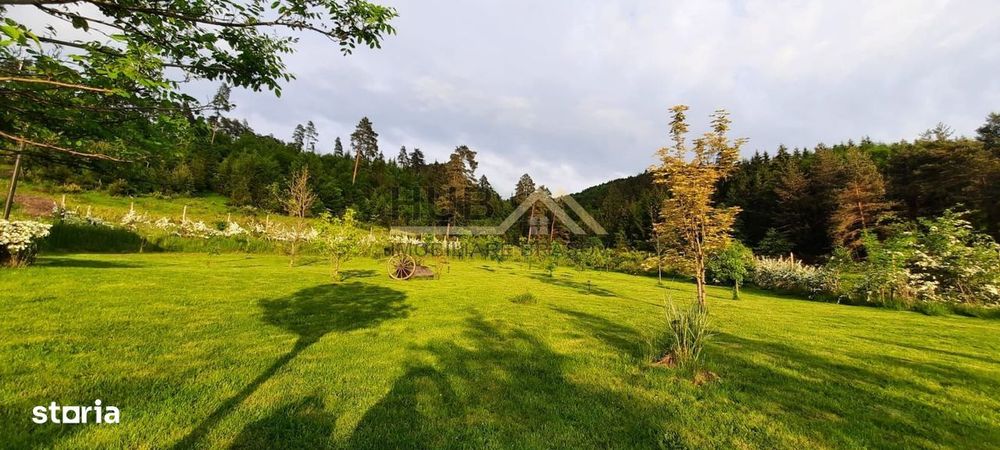 Teren cu PUZ - Tabara de Vacanta + Constructie Tiny Hous |  10 Cabane