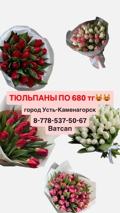 Тюльпаны по 680.