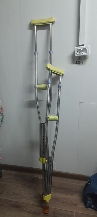 Qõltiq tayoq holati alo