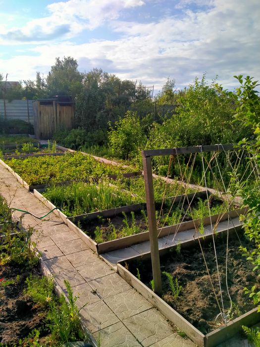 Продам Дачу, ПКСТ Мичуринец