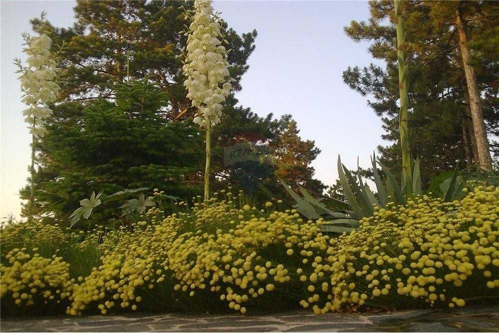 Продава се Къща в с. Червена вода, Област Русе - 360 кв.м за 864 €/кв.м - Снимка #13