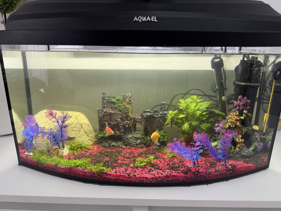 Vand acvariu 60L