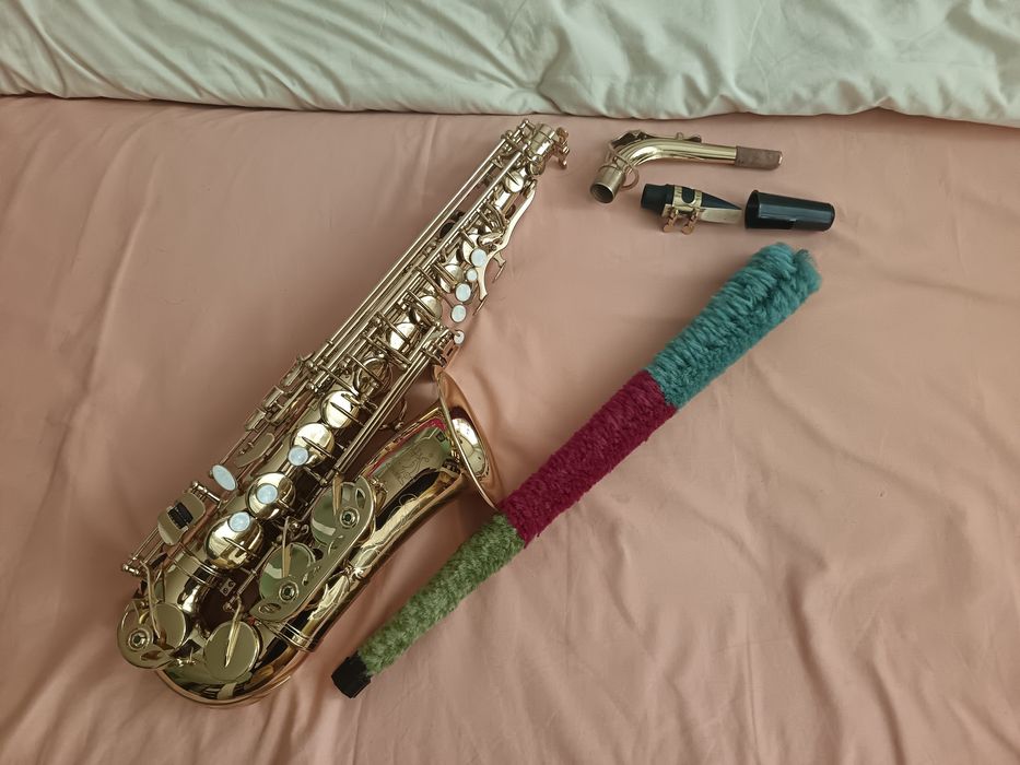 Vând set saxofon alto din aluminiu – Parrot