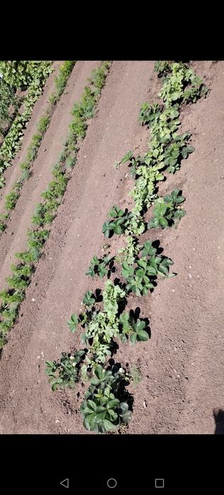 Продам дачу понтонный мост