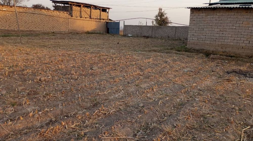 Текс участка сотиляпти.8.сотх