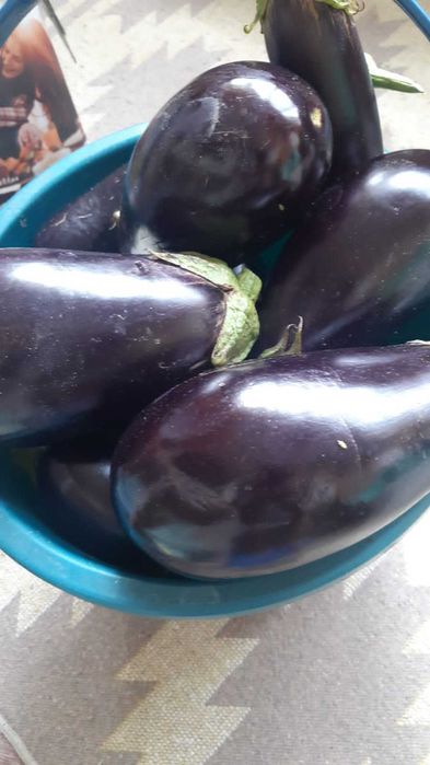 журналы для огородника