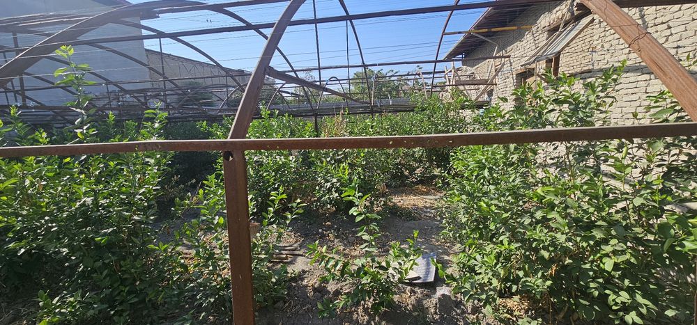 Теплица сотилади!