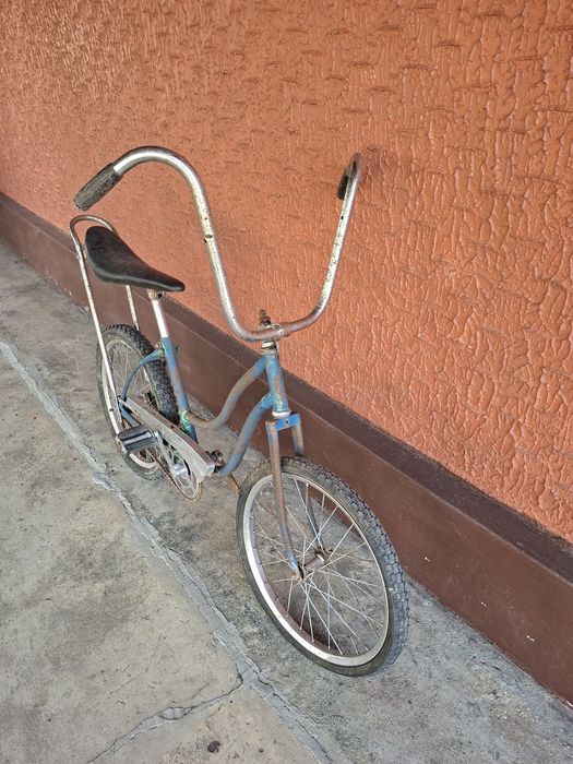 Pegas cu coarne inalte si sa lunga