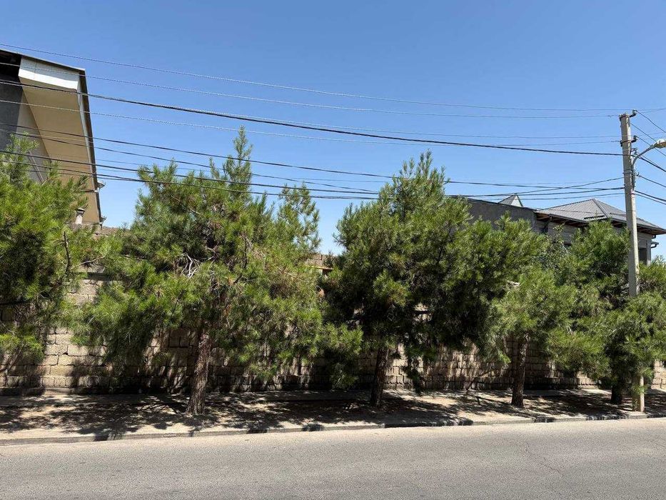 Toshkent shaxar Olmazor tumanida 3 sotix Yer sotiladi