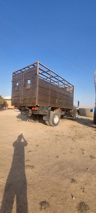 Mashina naxadu javob tuxtatmay minish kerak