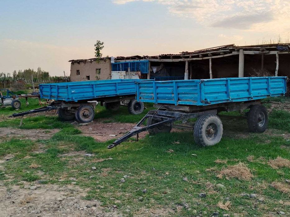 Трактор МТЗ 81.1