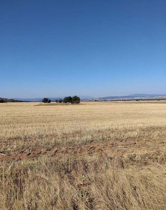 Продава парцел в гр.Сапарева баня