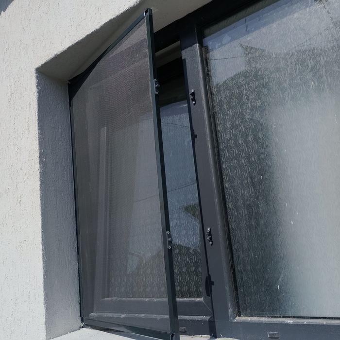 Plase/Site insecte Craiova