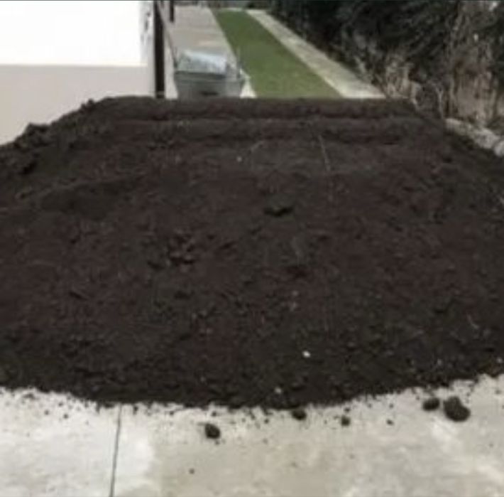 Pamant negru vegetal