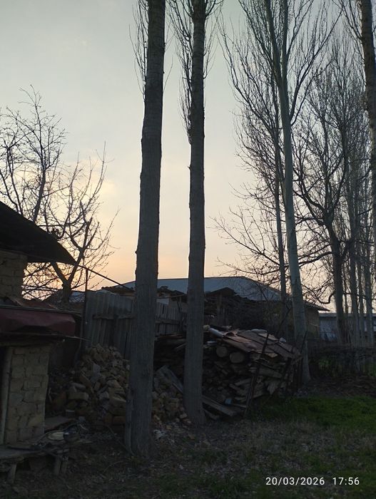 Teraklar sotiladi 8 dona