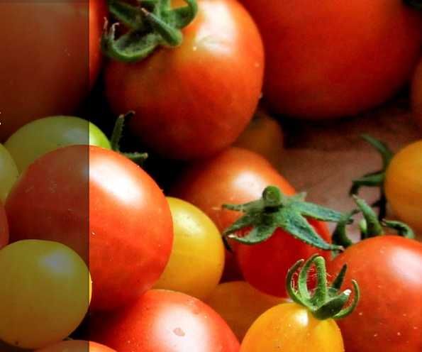 Masini manuale si electrice de stors rosii marca REBER ITALIA