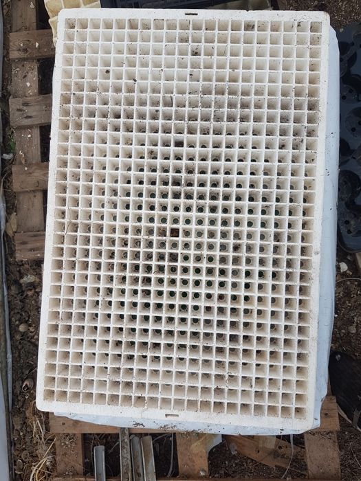 Тарелки за разсад 600 легла