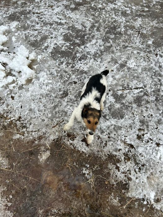 Яак робочи жұмыс