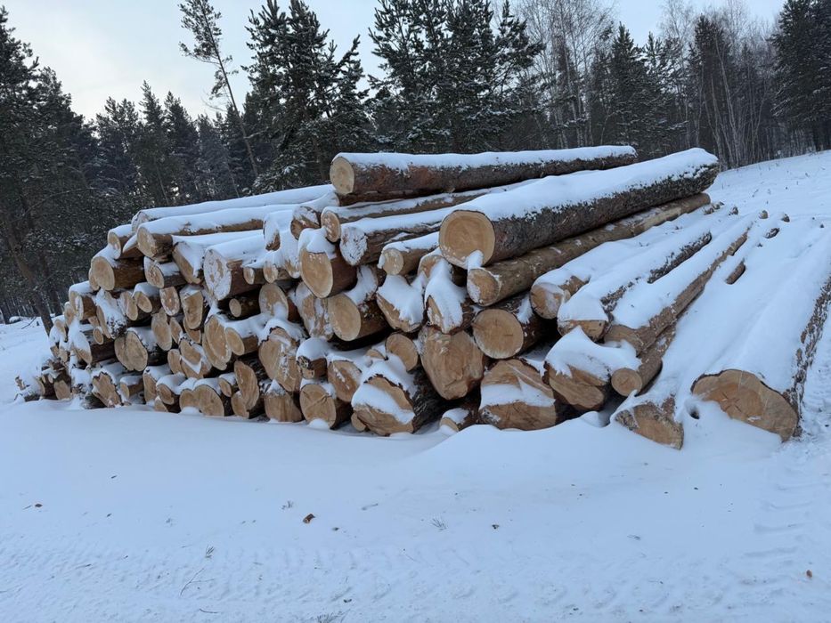 Доска зелека из Россий