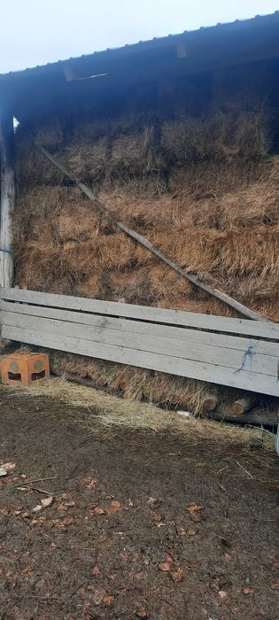 Vând baloți de fân