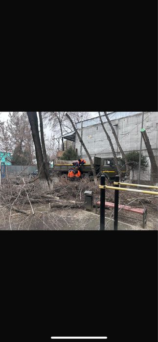 Спил деревьев, сан. обрезка,с вывозом!