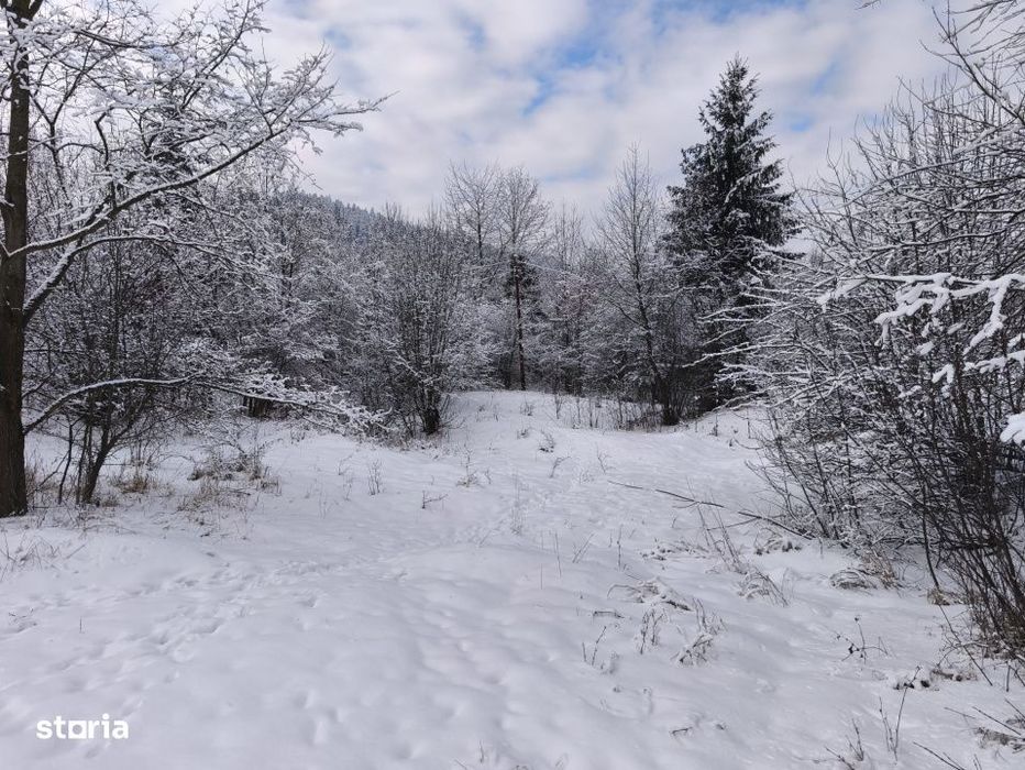 Teren intravilan, 22600mp, zona Manastirea Sucevita