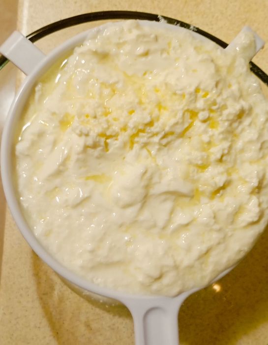 Ciupercă de kefir/chefir - 20 lei porția. Ridicare din București, sect