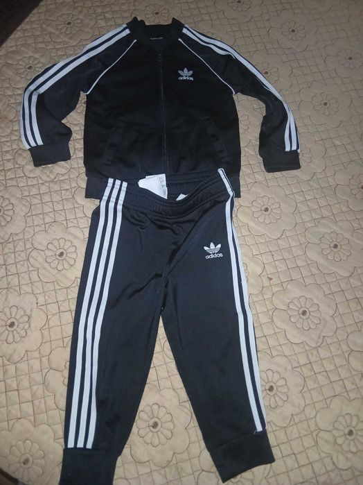 Hainute elegante