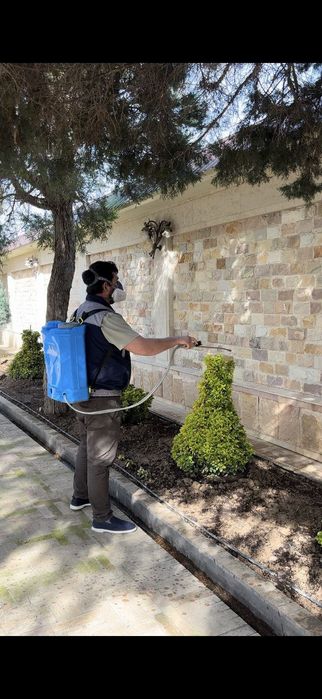 Dezinfeksiya дезинфекция Dizinfeksiya дизинфекция клапа klapa