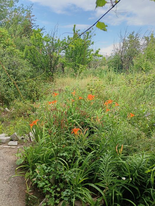 Продам дачу Со Дархан рассмотрим рассрочку