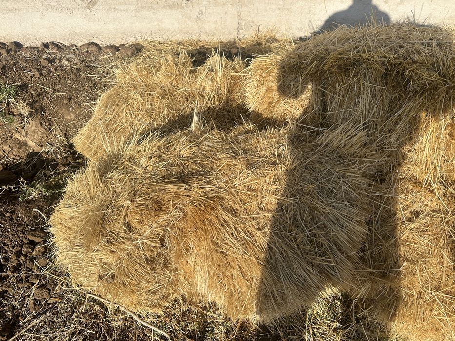 пресс шоп жаксы