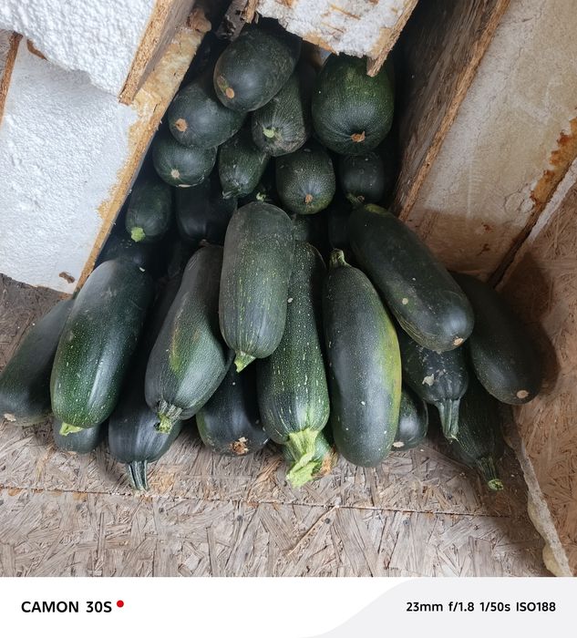 Кабачки с доставкой