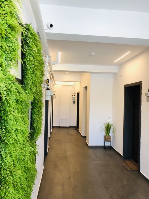 Servicii de curatenie la domiciliu / birouri / scari / canapele