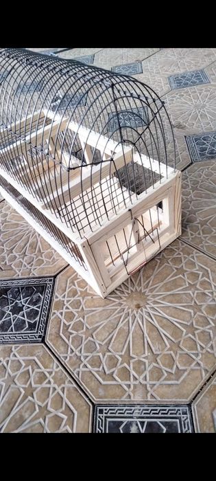 Продам клетку ловушку для щеглов
