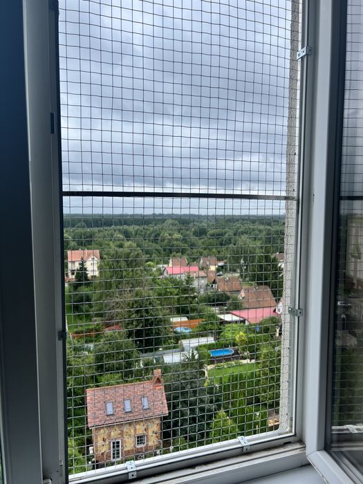 Защита для кошек