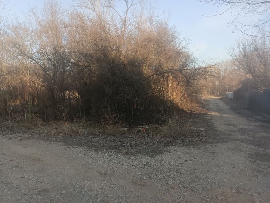 Почистване на парцели дворове и запустели имоти