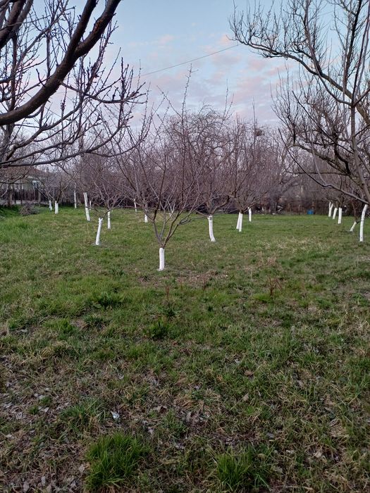 Teren intravilan de vânzare