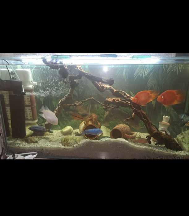 Усиленный Аквариум 150литров .