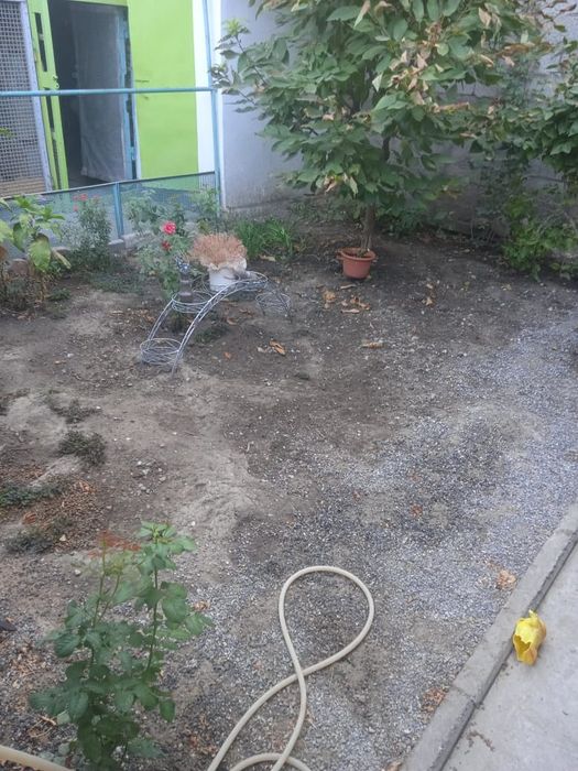 Недвижимость дом