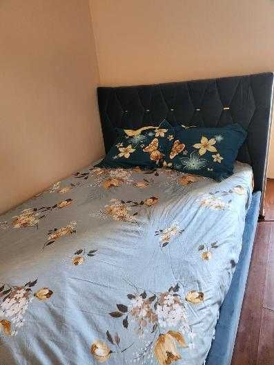 PF dau in chirie garsoniera cartier Manastur