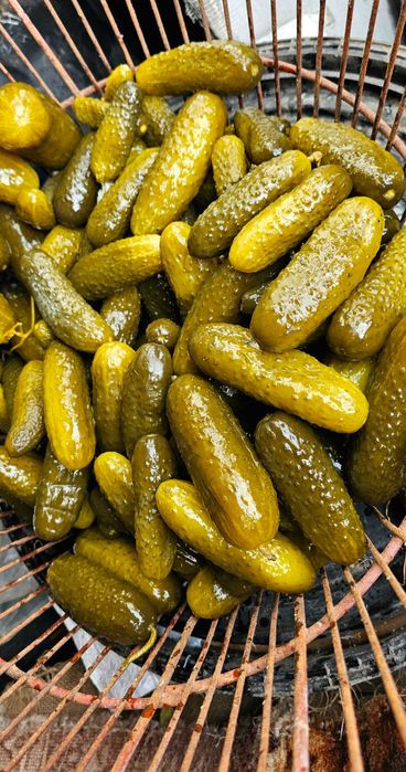 Castraveți murați în sălămură