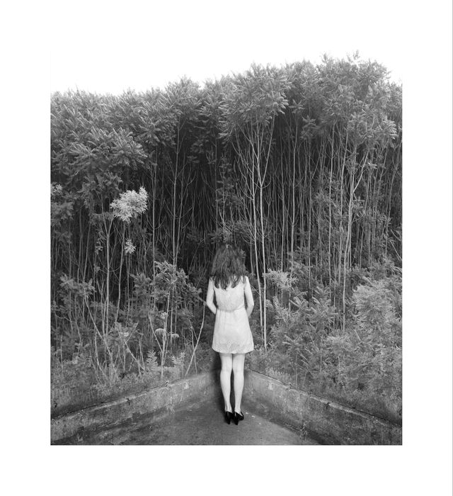Sedinte foto, fotografii artistice