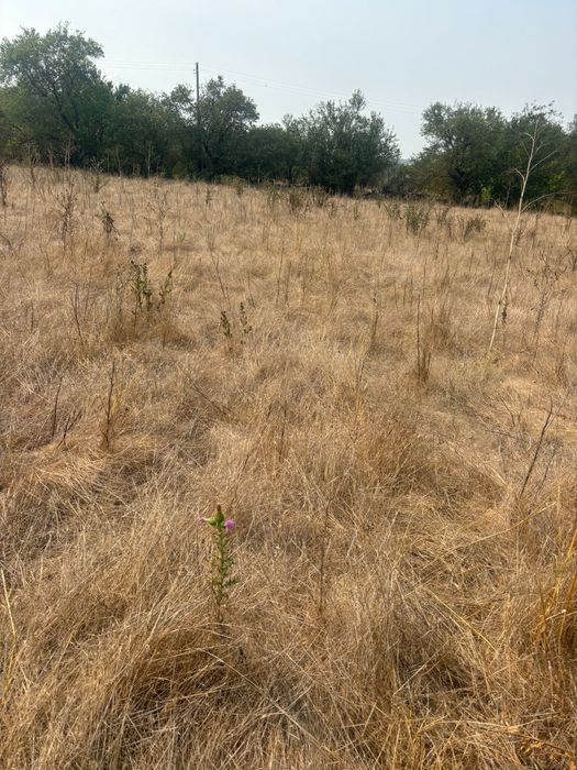 Продава се Къща в с. Генерал Киселово, Област Варна - 100 кв.м за 128 €/кв.м - Снимка #1