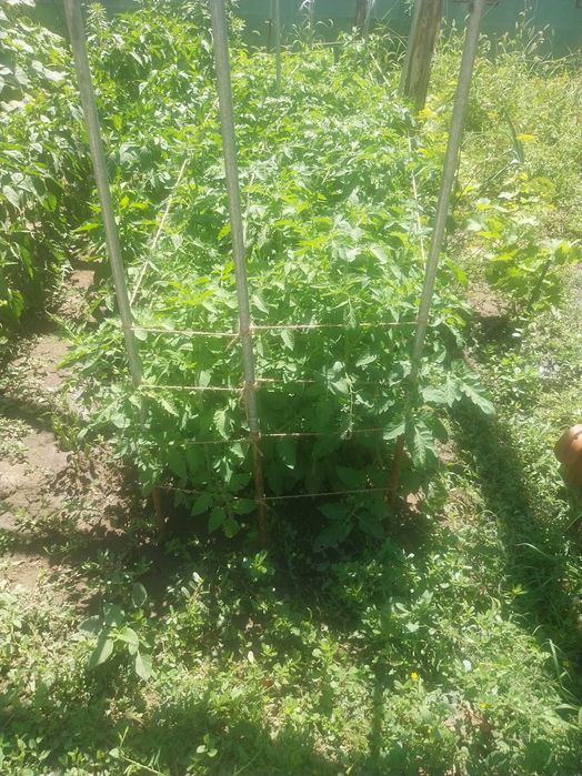 Продава къща с.Ценово , Русенско