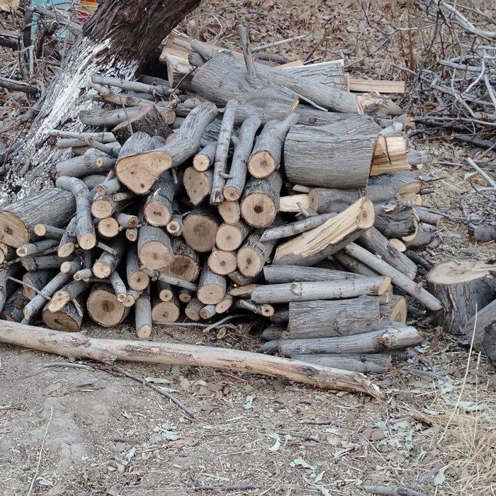 Жаңғақ отын бар бағасын келысемыз