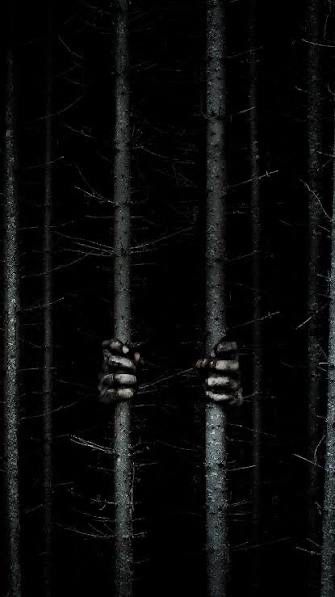 Продам готовый бизнес хоррор квест дом