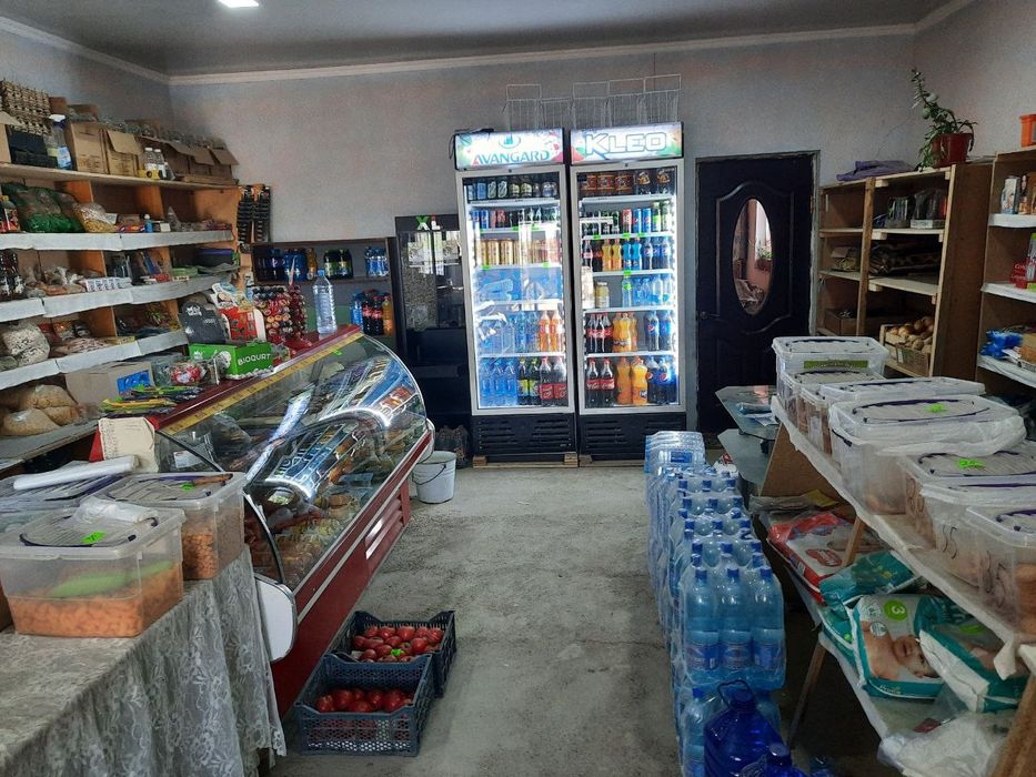 Дом продаётся с магазином