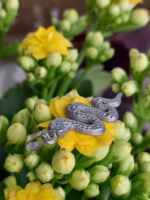 Самостоятелен сребърен медальон - змия. 15 лв